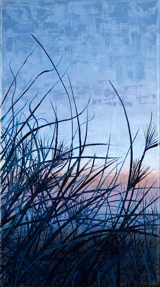 Ningaloo: Last Light