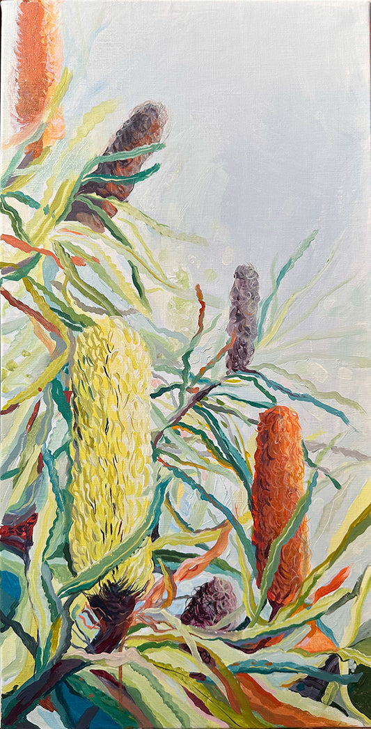 Banksia attenuata, Inglewood Triangle Painting
