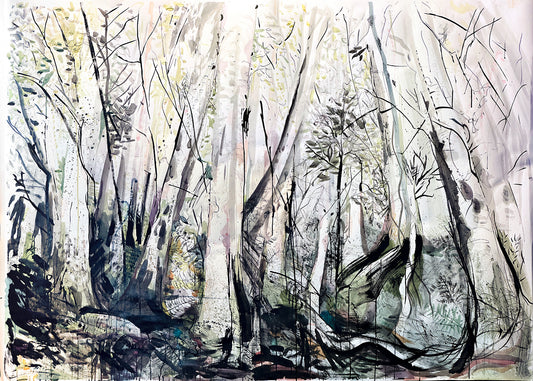 Strickland Falls Large Scale Drawing