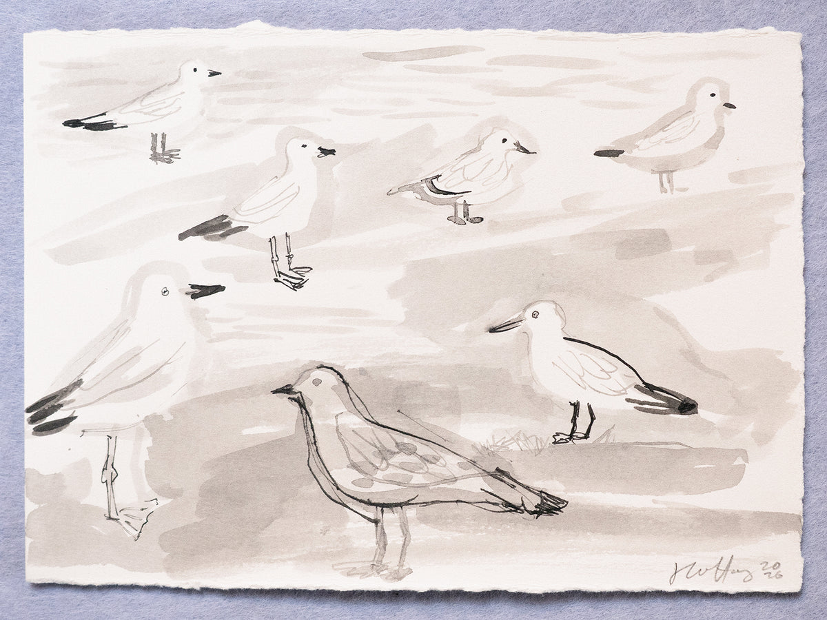 Seagull Conference