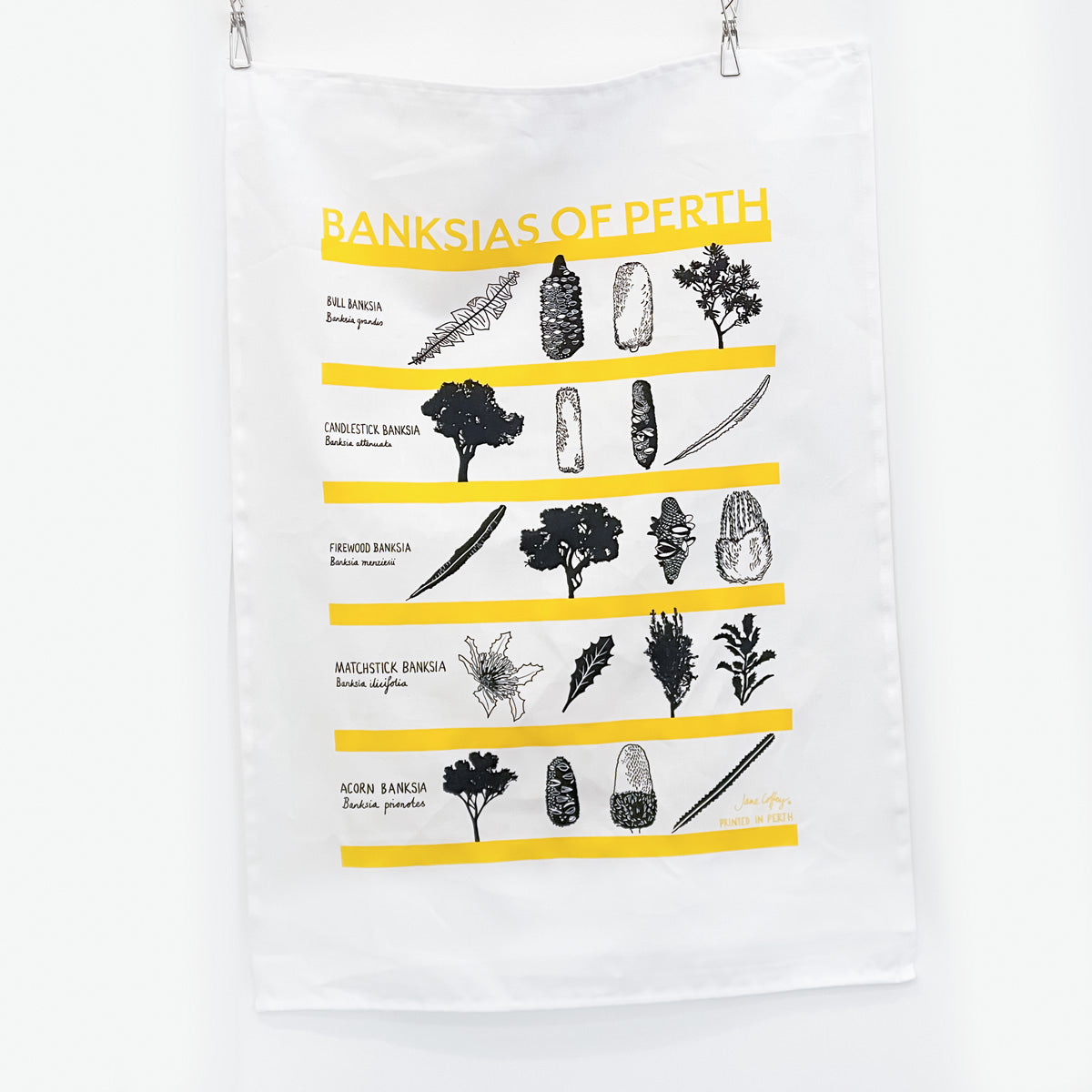 Banksias of Perth Teatowel