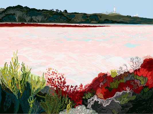 Pink Lake - Limited Edition Print