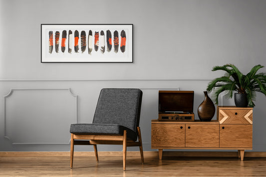 Black Cockatoo Feathers - Limited Edition Print