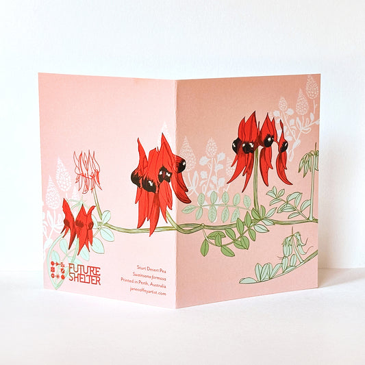 Sturt Desert Pea Card