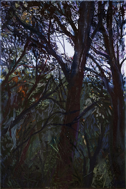 Warren River, Rest
