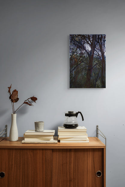 Warren River, Rest