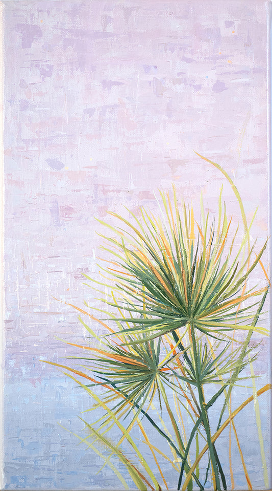 Ningaloo: Pink Haze
