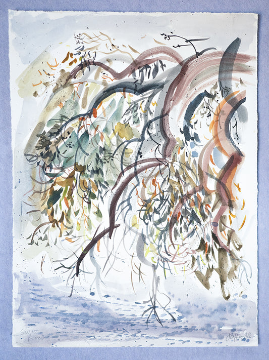 Swan River Watercolour