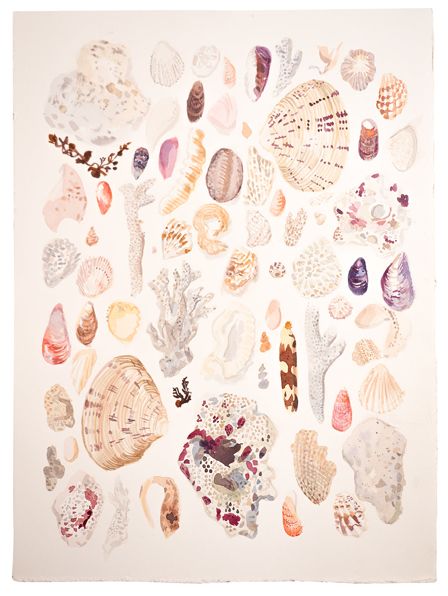 Ningaloo Findings