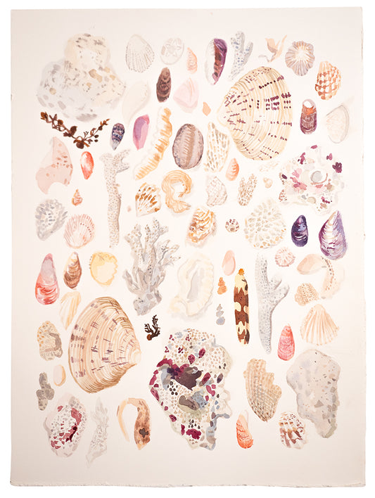 Ningaloo Findings