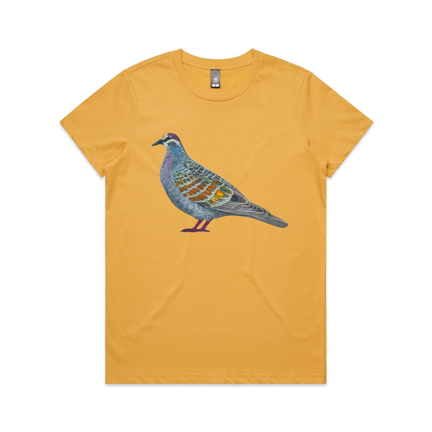 Glorious Bronzewing - Womens T-shirt