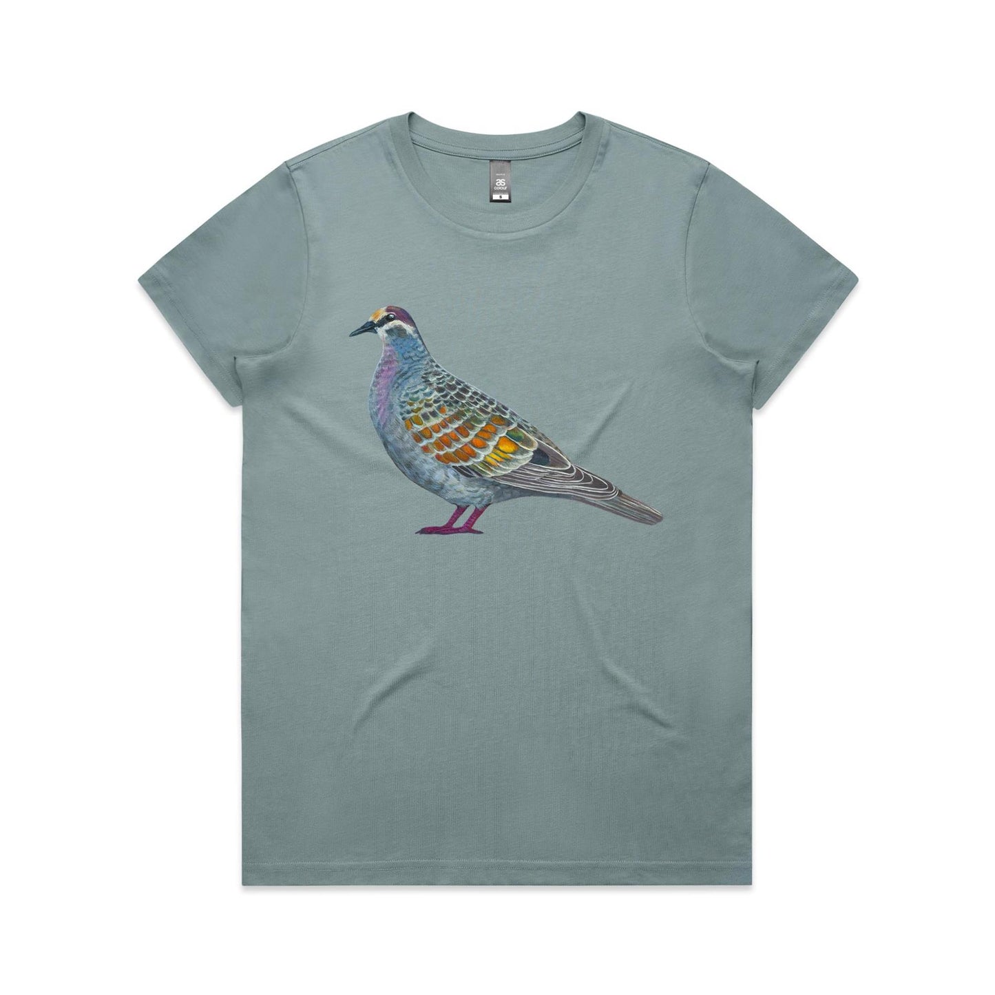 Glorious Bronzewing - Womens T-shirt
